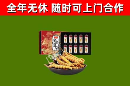 尉犁烟酒回收冬虫夏草礼盒.jpg