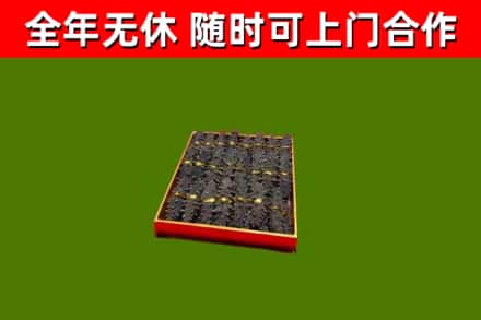 尉犁回收海参